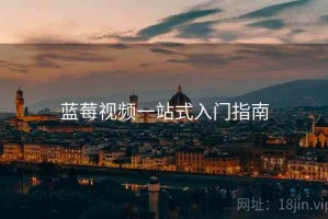 蓝莓视频一站式入门指南