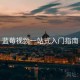 蓝莓视频一站式入门指南