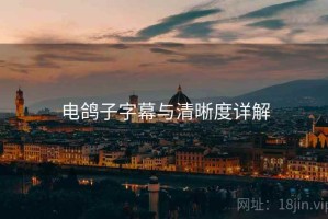 电鸽子字幕与清晰度详解