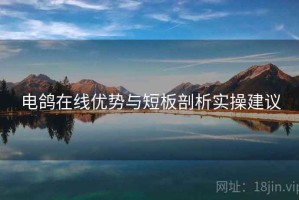 电鸽在线优势与短板剖析实操建议