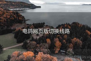 电鸽网页版切换线路