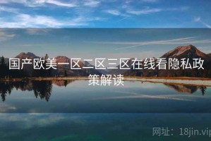 国产欧美一区二区三区在线看隐私政策解读