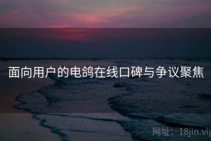 面向用户的电鸽在线口碑与争议聚焦