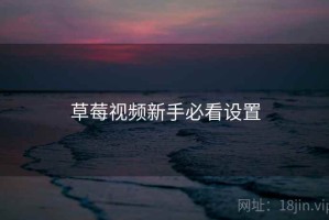 草莓视频新手必看设置