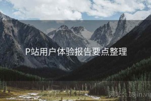 P站用户体验报告要点整理