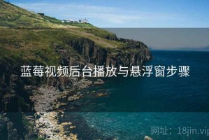 蓝莓视频后台播放与悬浮窗步骤