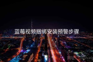 蓝莓视频捆绑安装预警步骤