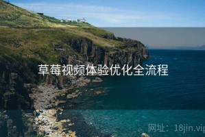 草莓视频体验优化全流程