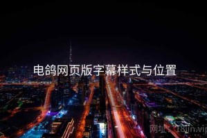 电鸽网页版字幕样式与位置