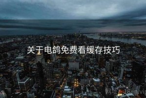 关于电鸽免费看缓存技巧