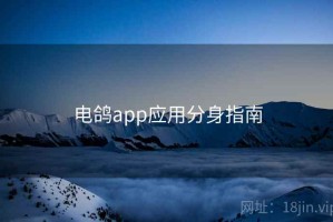 电鸽app应用分身指南