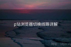 p站浏览器切换线路详解