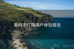 黑料不打烊用户体验报告