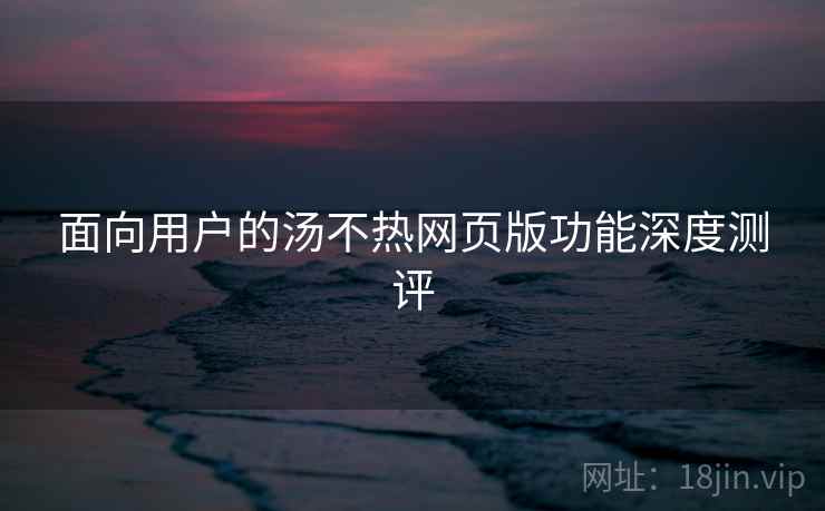 面向用户的汤不热网页版功能深度测评