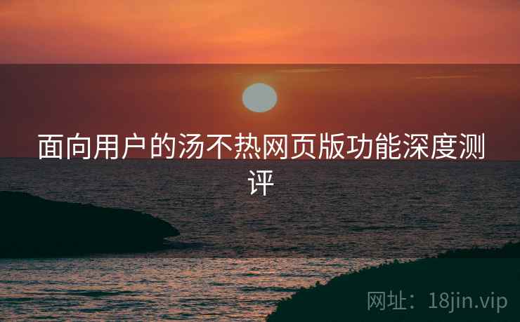 面向用户的汤不热网页版功能深度测评