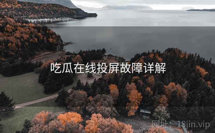 吃瓜在线投屏故障详解