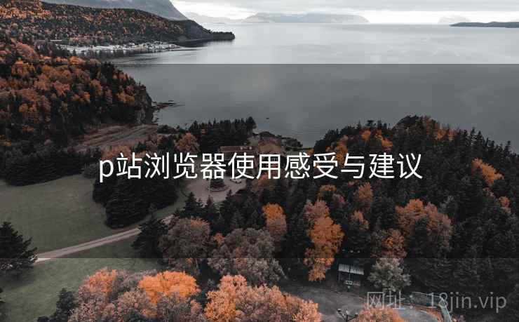 p站浏览器使用感受与建议