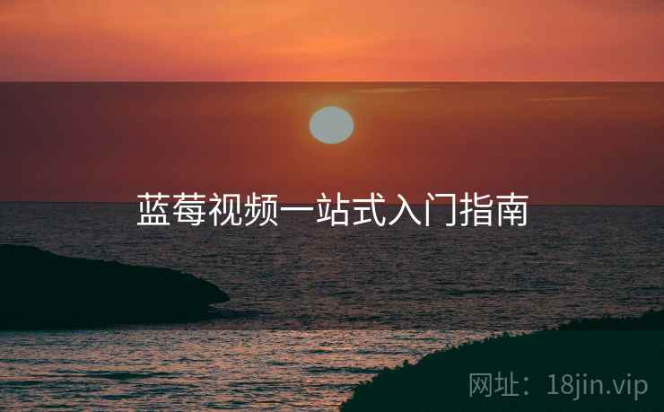 蓝莓视频一站式入门指南