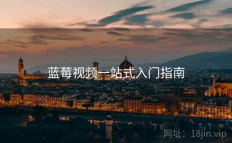 蓝莓视频一站式入门指南