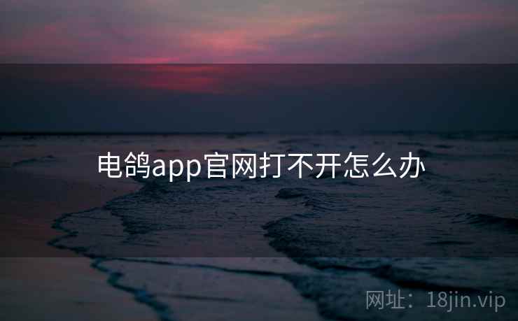 电鸽app官网打不开怎么办