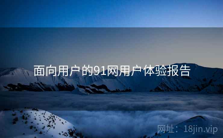 面向用户的91网用户体验报告
