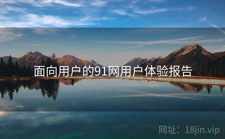 面向用户的91网用户体验报告