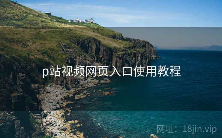 p站视频网页入口使用教程