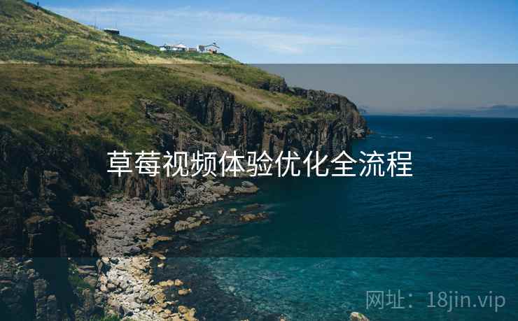草莓视频体验优化全流程
