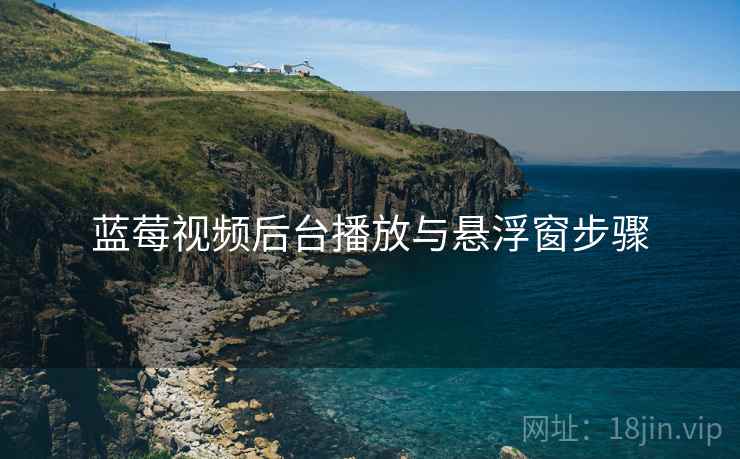 蓝莓视频后台播放与悬浮窗步骤