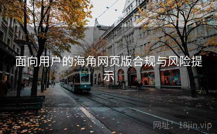 面向用户的海角网页版合规与风险提示