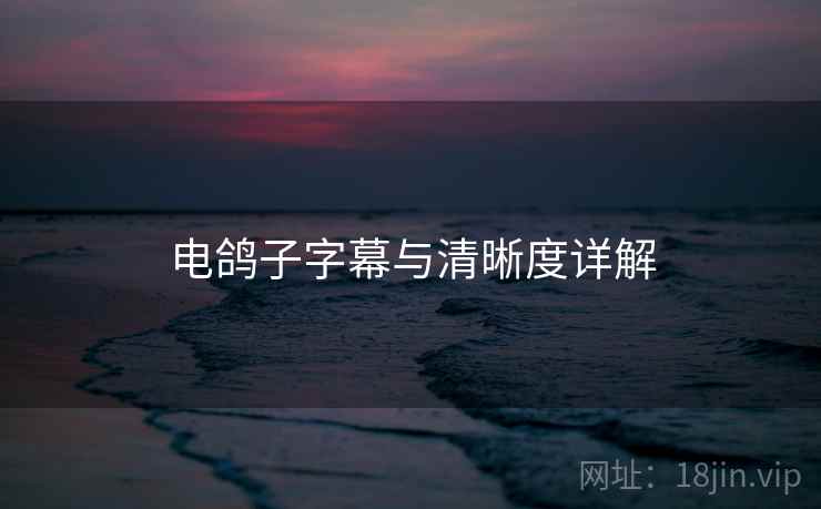 电鸽子字幕与清晰度详解