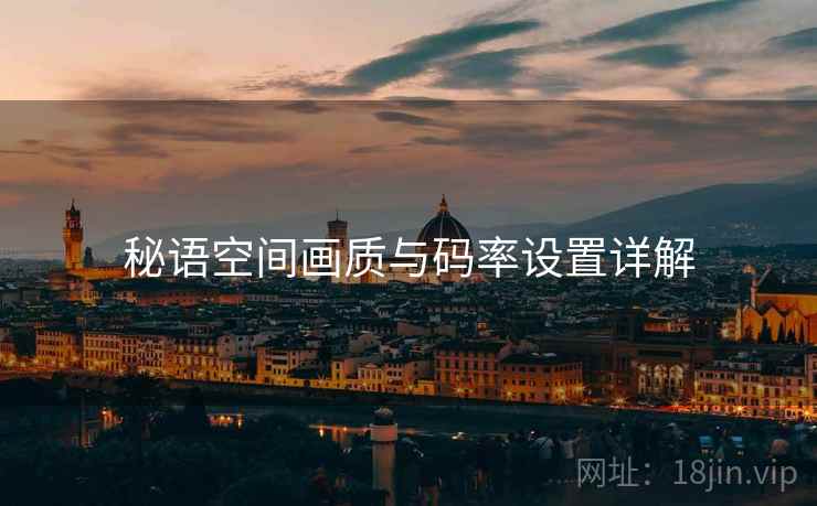 秘语空间画质与码率设置详解