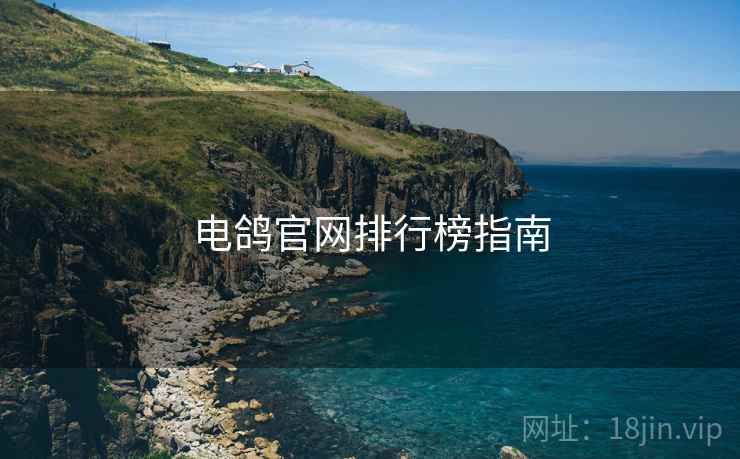 电鸽官网排行榜指南