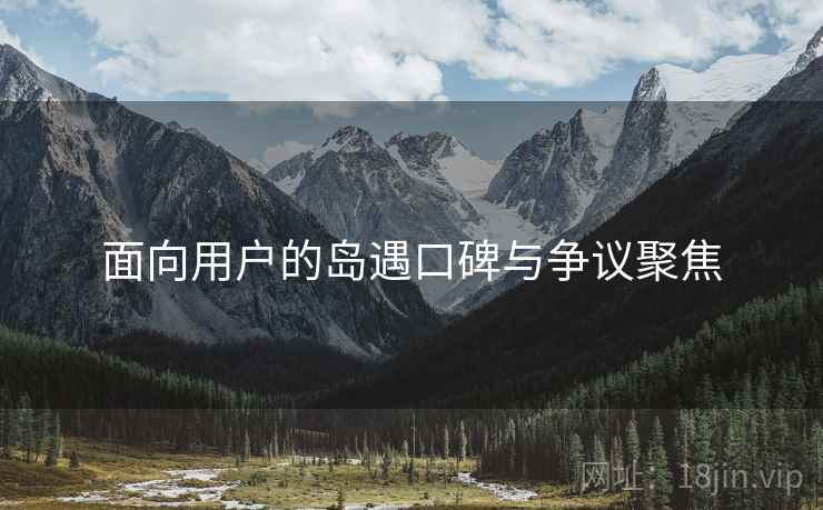 面向用户的岛遇口碑与争议聚焦