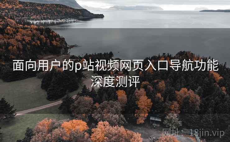 面向用户的p站视频网页入口导航功能深度测评