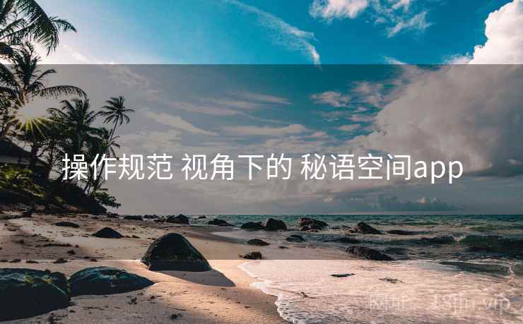 操作规范 视角下的 秘语空间app