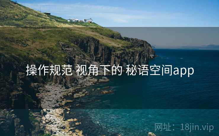 操作规范 视角下的 秘语空间app