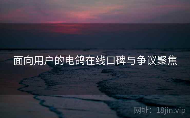 面向用户的电鸽在线口碑与争议聚焦