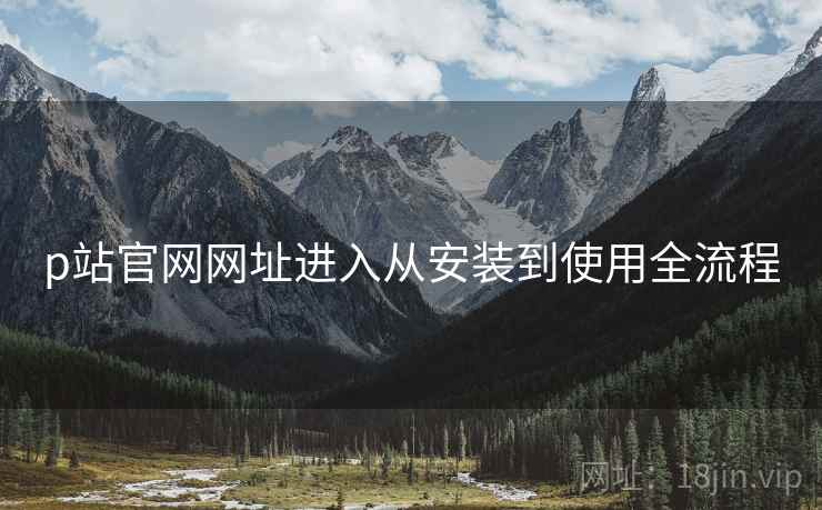 p站官网网址进入从安装到使用全流程