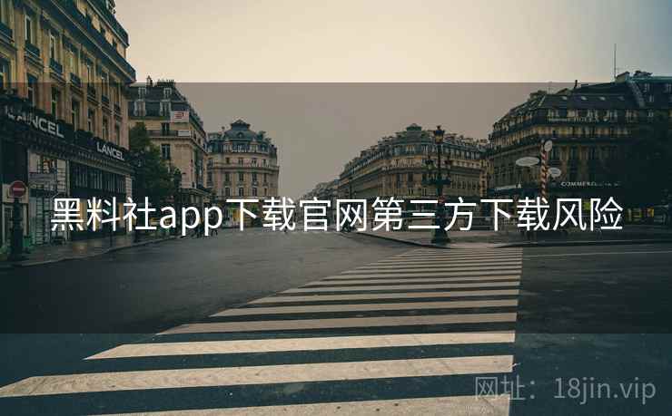黑料社app下载官网第三方下载风险