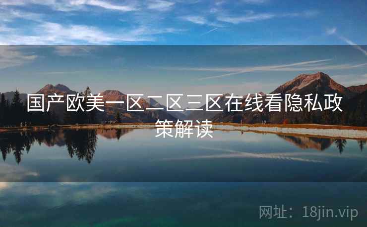 国产欧美一区二区三区在线看隐私政策解读