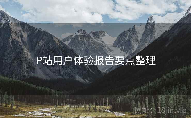 P站用户体验报告要点整理