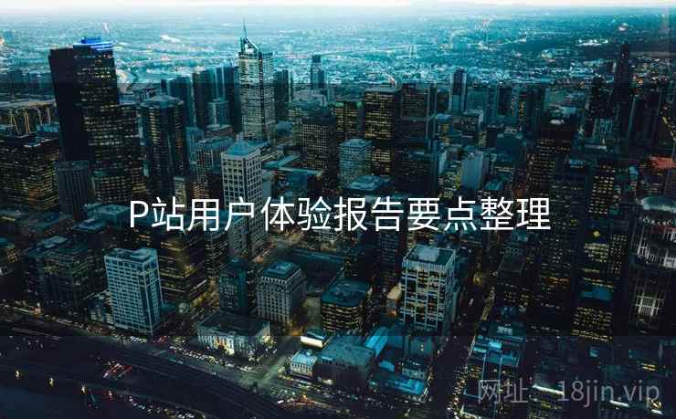 P站用户体验报告要点整理