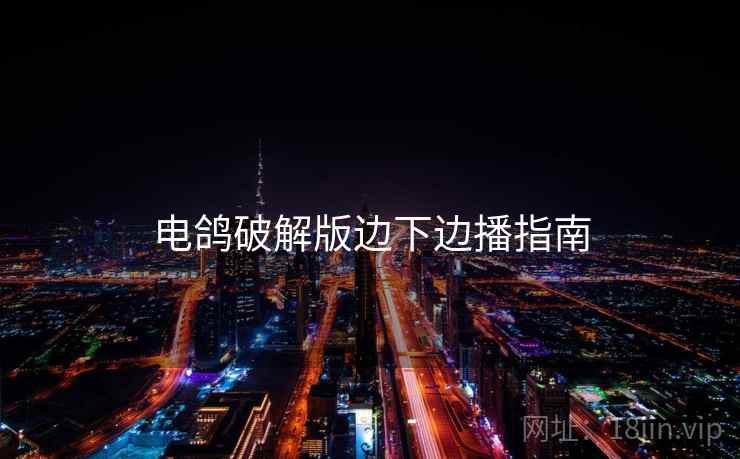 电鸽破解版边下边播指南