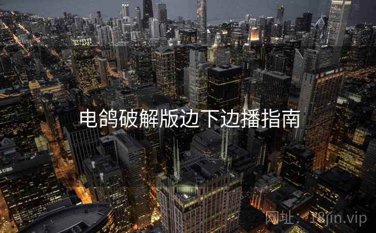 电鸽破解版边下边播指南