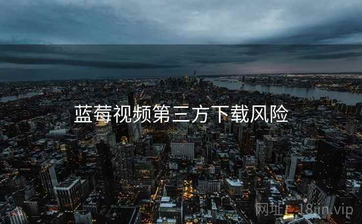 蓝莓视频第三方下载风险