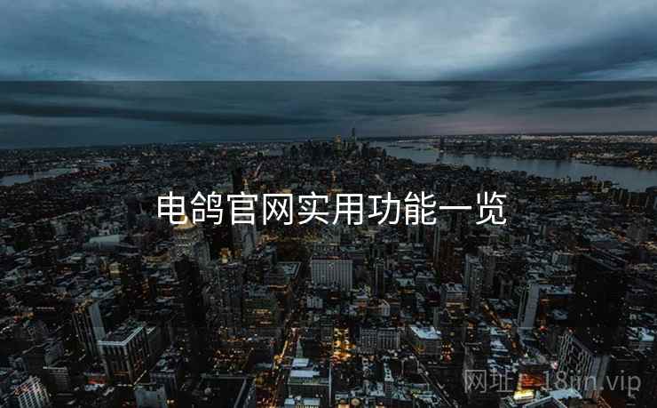 电鸽官网实用功能一览