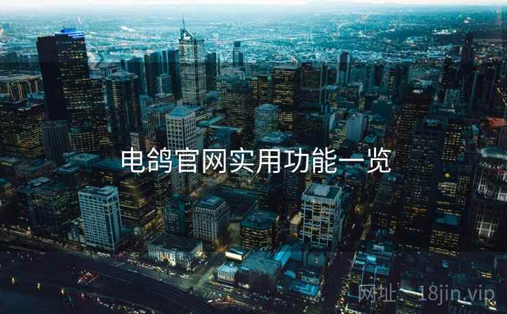 电鸽官网实用功能一览