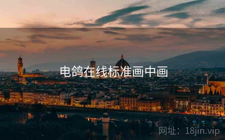 电鸽在线标准画中画