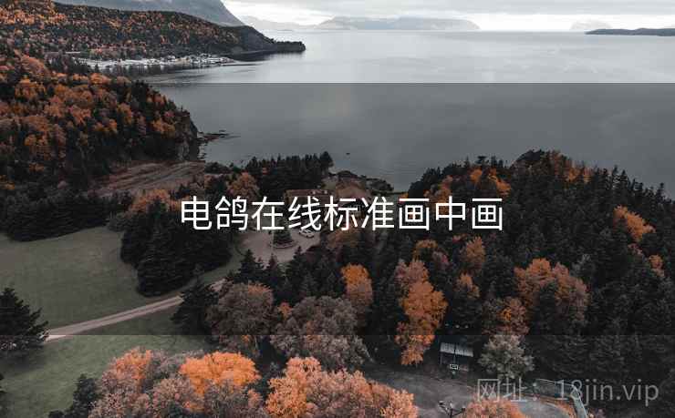 电鸽在线标准画中画